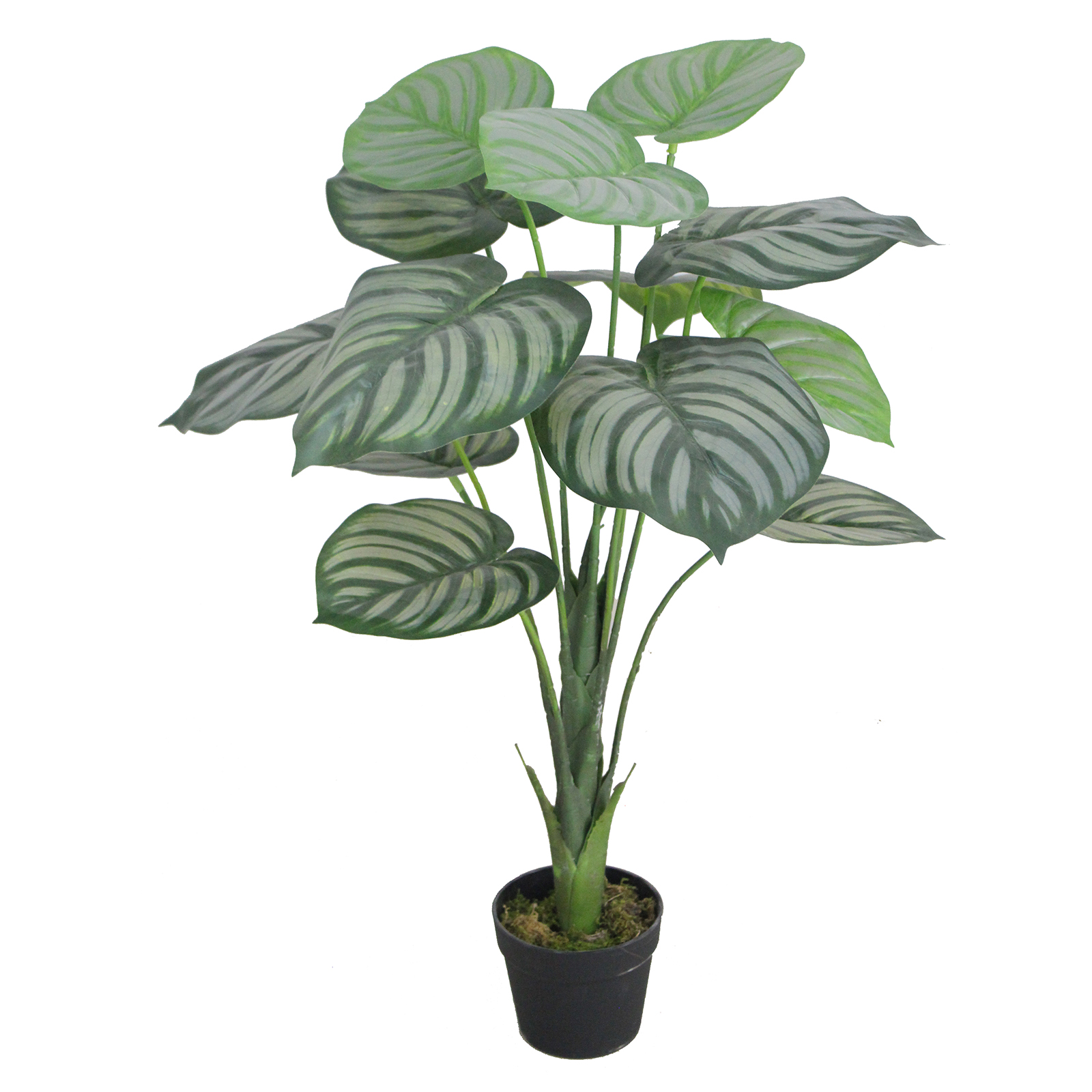 Supergreens Τεχνητό Φυτό Καλαθέα Setosa 85 εκ.