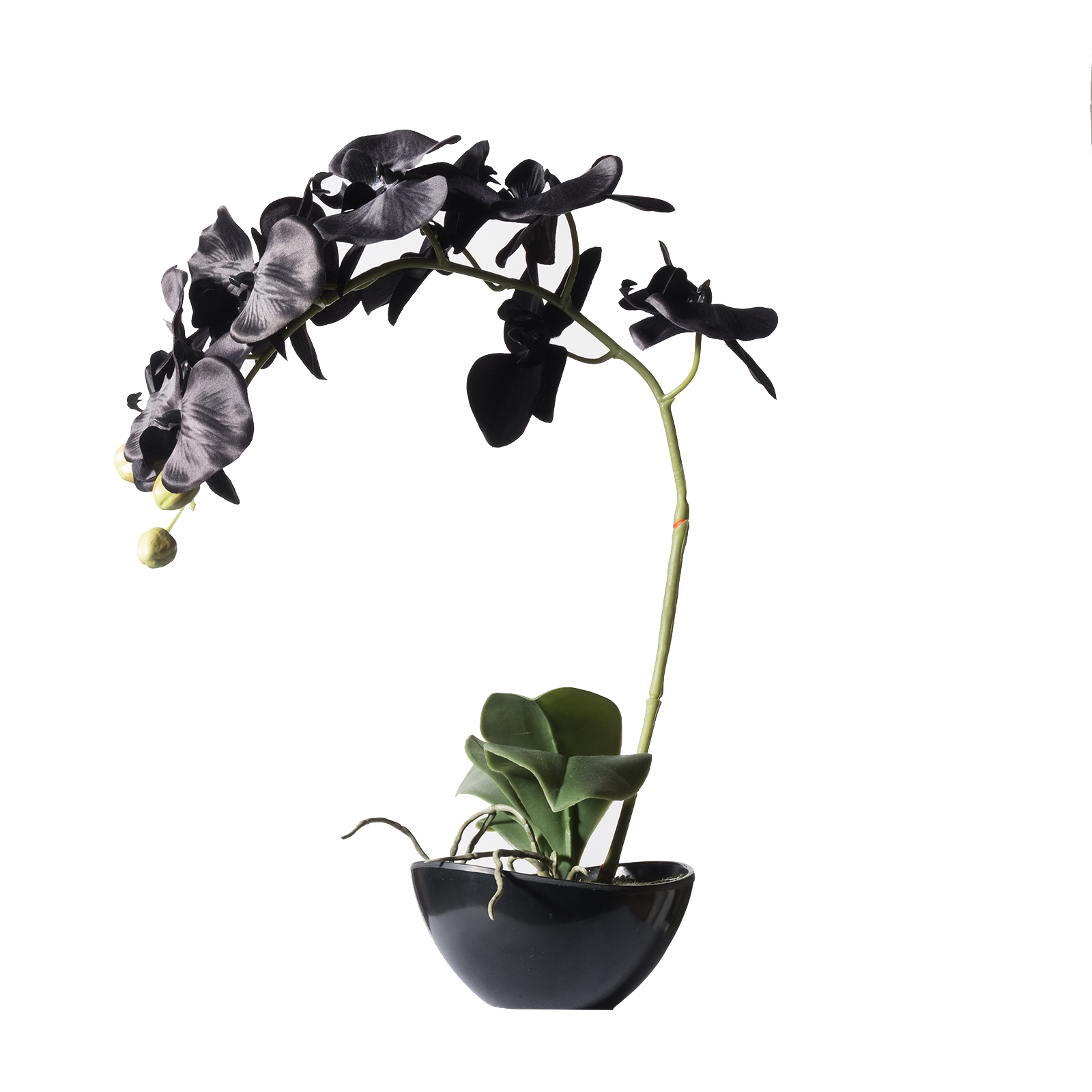 Supergreens Τεχνητό Φυτό Ορχιδέα Phalaenopsis Real Touch Μαύρη με Κασπώ 48 εκ.
