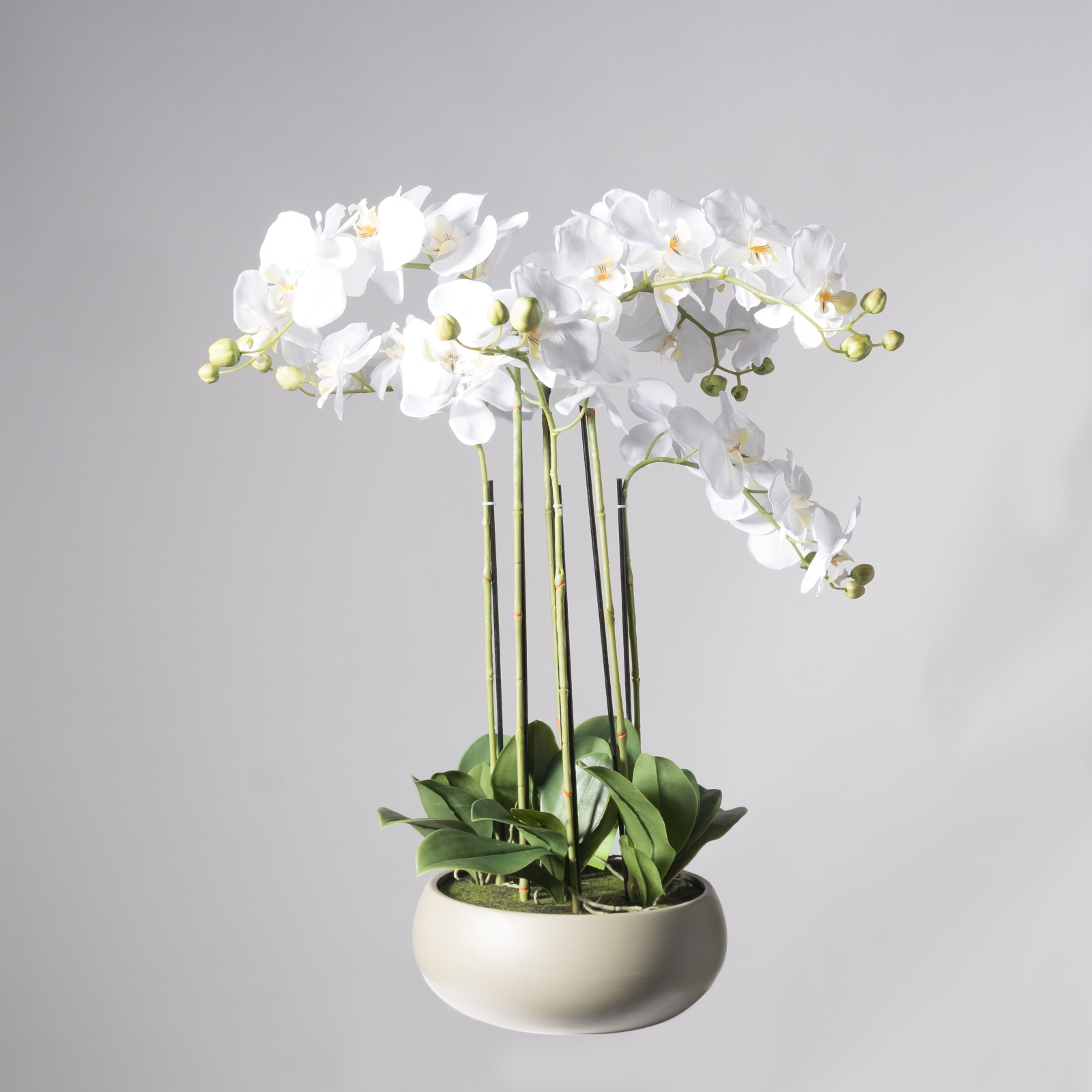 Supergreens Τεχνητό Φυτό Ορχιδέα Phalaenopsis Real Touch Λευκή με Κασπώ 80 εκ.