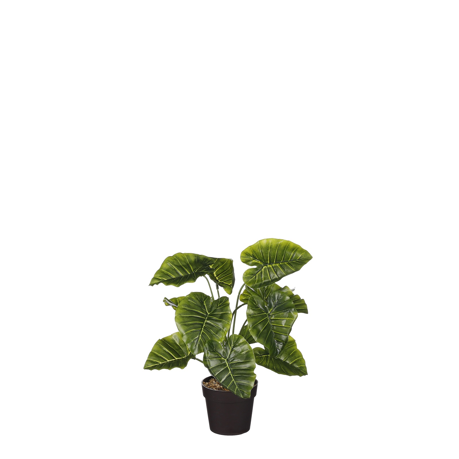Supergreens Τεχνητό Φυτό Αλοκάσια Portodora 40 εκ.